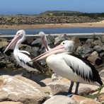 Canberra to Coast & Back in a Weekend