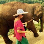 Happy Elephants in Thailand