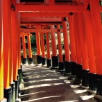 Kyoto – Temples and Geishas