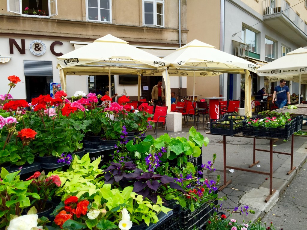 IMG_5455